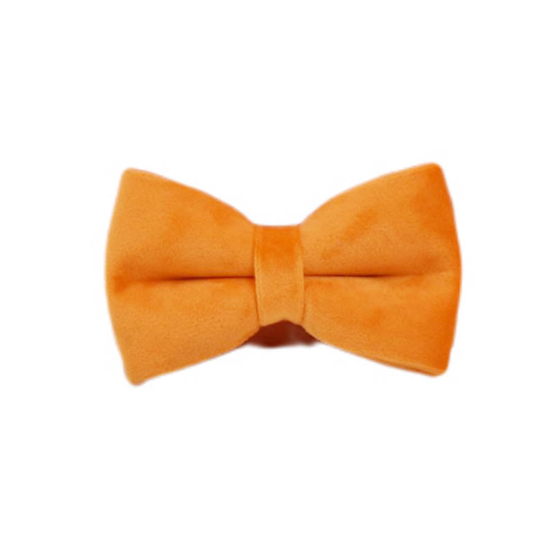 Noeud papillon orange