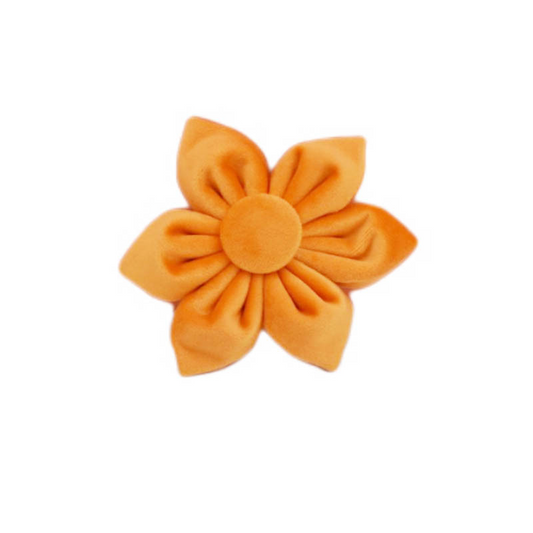 Fleur orange