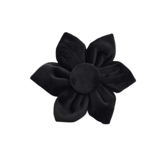 Fleur noir