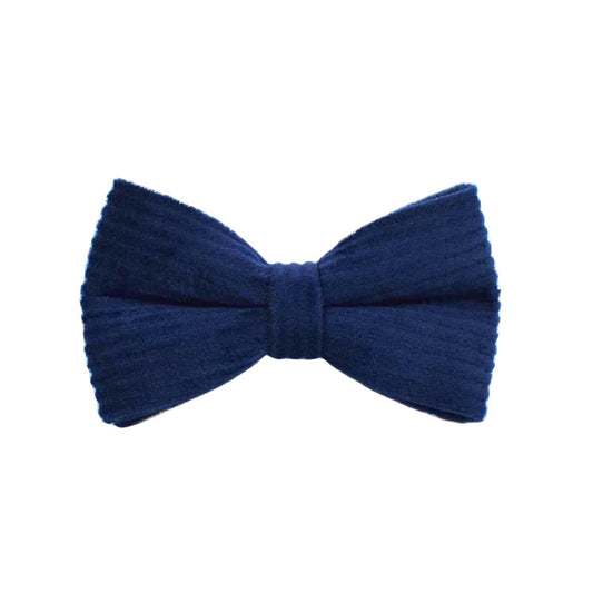 Noeud papillon bleu marine